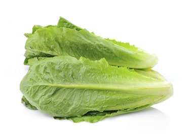 Cos Lettuce on White Background