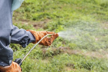 Man  is spraying herbicide