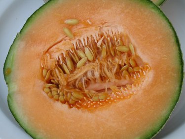 Cantaloupe Half