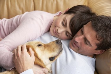 Portrait Of Couple Relaxing On Sofa With Pet Dog