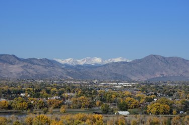 What Planting Zone Is Denver, Colorado? | Hunker