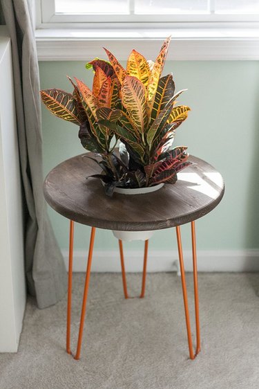 DIY end table converted into plant stand.