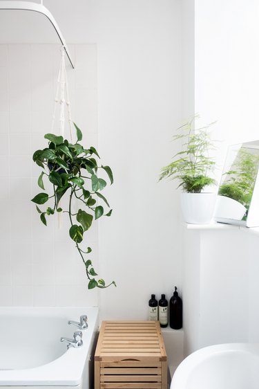 White bathroom with two plants, one hanging