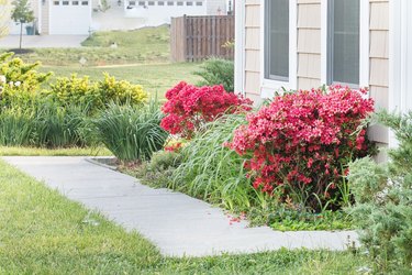 How to Prune Azaleas | Hunker