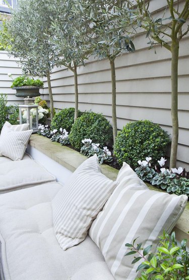 garden bench seating with patterned planting