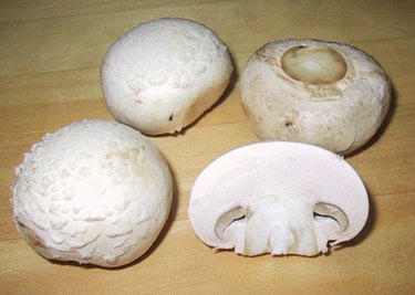 Young portabella mushrooms.