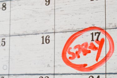 A calendar with "spray" circled in red