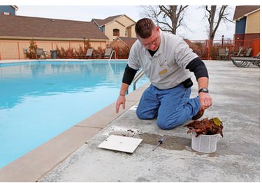 Man cleaning a swimming pool skimmer basket.
