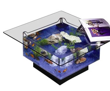 aquarium coffee table