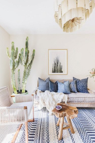 cactus living room