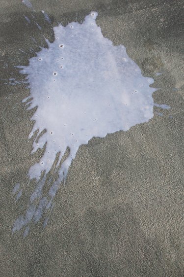 White floor polish splattered on a concrete floor.