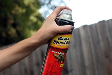 spray wasp hunker