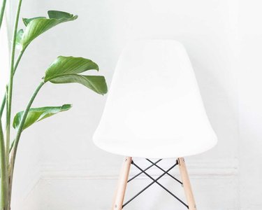 A white shell chair with wooden legs next to a leafy plant.