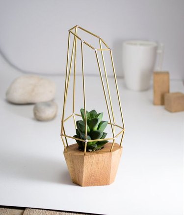 Modern Faceted Geometric Planter