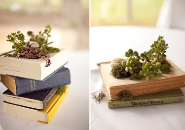 A stack of books cut out and filled with a collection of succulents.