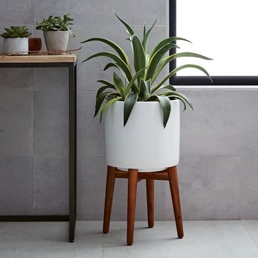 ceramic plant holder