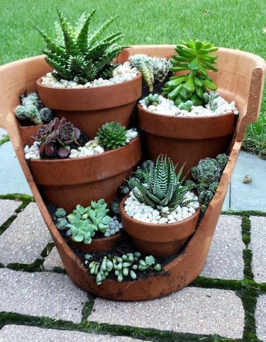 Large broken terra-cotta pot with little terra cotta planters and succulents inside