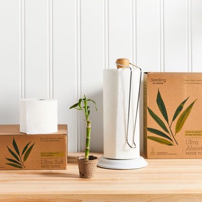 Seedling by Grove Collaborative tree-free sustainable collection on light wood counter
