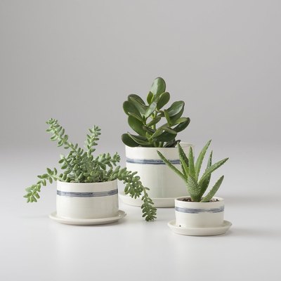 schoolhouse electric planters