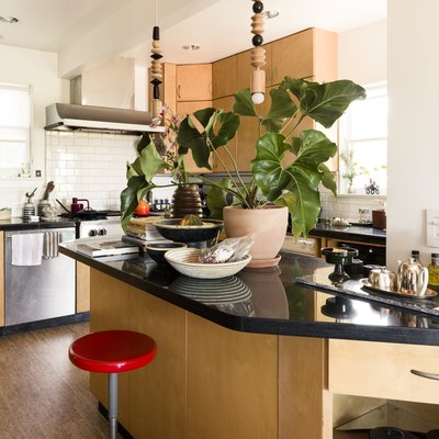 kitchen with black countertops and wood cabinetry with a large plant