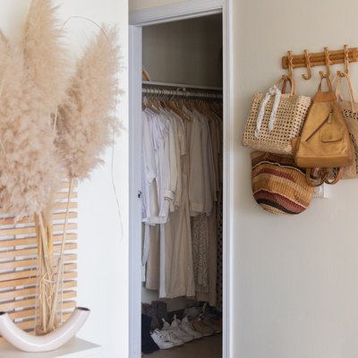 Bedroom closet design with hanging bags, pampas grass, and modern headboard