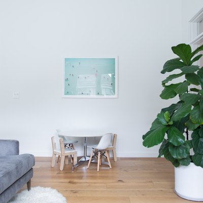living room space with large plant and framed art