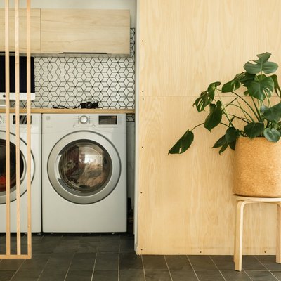 Washer and dryer, with plant in modern planter