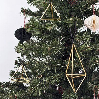 Pine tree