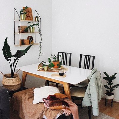 Minimal boho dining room with plants, white table, and black ladder-back chairs