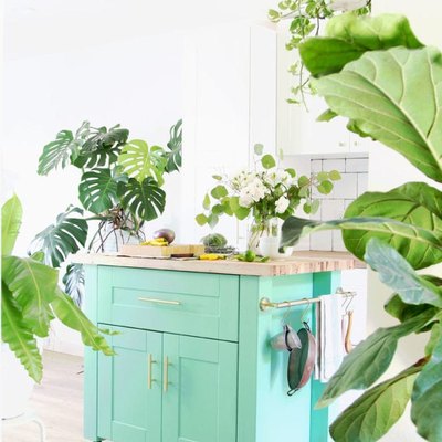 Painted turquoise IKEA kitchen island with houseplants