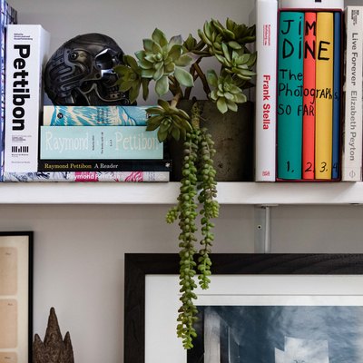 bookshelf with plant