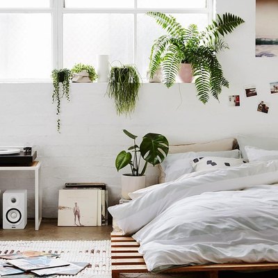 plant-filled bedrooms
