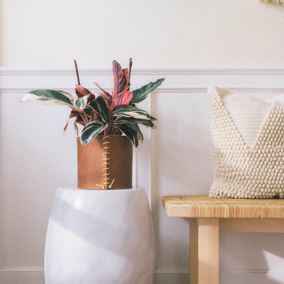 DIY leather wrapped planter with pink and green leaf plant on marble stool next to bench