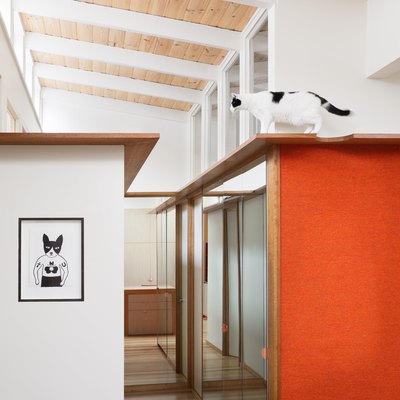 cat room bedroom