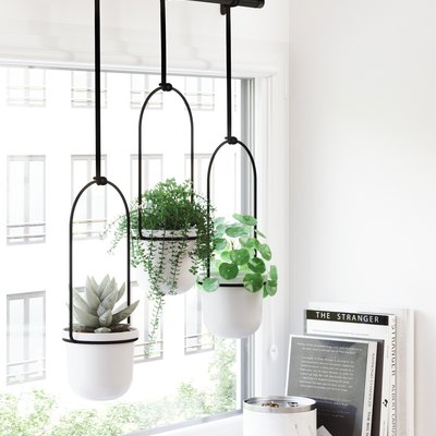 triflora hanging planter white