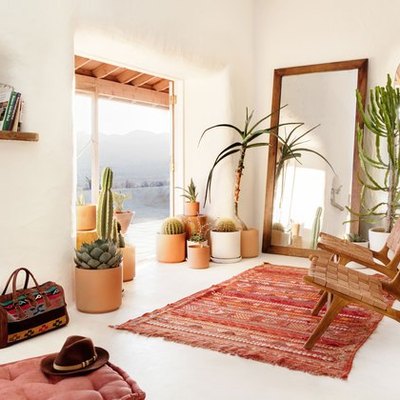 desert retreat with straw-bale walls cement flooring and potted cacti