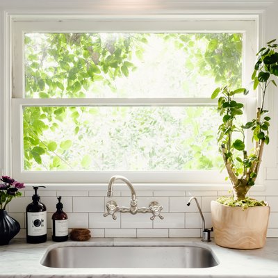 Kitchen sink in front of window with plant