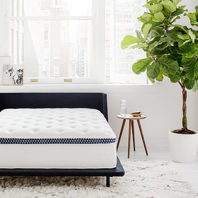 Minimal bedroom with bare mattress on navy bed frame