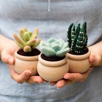 felt succulents in pots