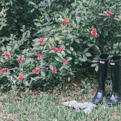 Flower bushes in yard with black rain boots