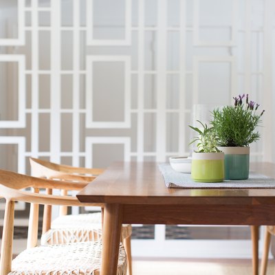 Things a Houseplant Needs to Survive