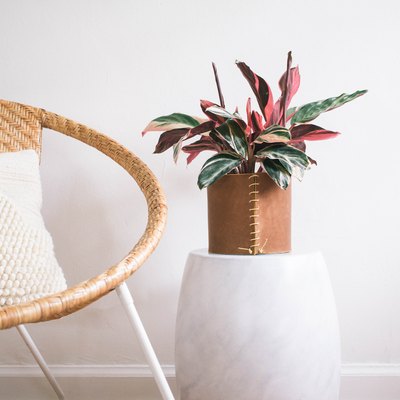 trisha sprouse diy leather tutorial