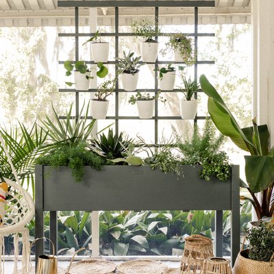 DIY living plant wall on boho patio with hammock