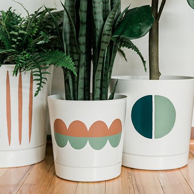 Take a white planter from 'plain' to 'Pinterest-worthy' using paint!