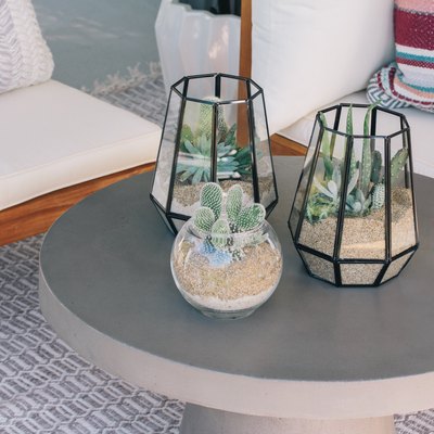 Walmart Outdoor Terrarium DIY