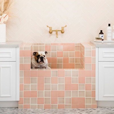 pink tile dog wash