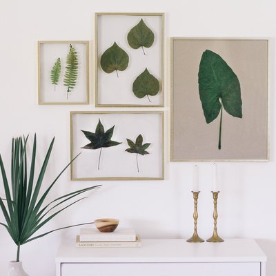 Preserved botanical art in floating frames