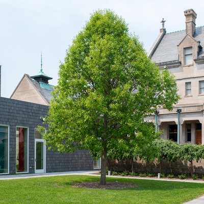 Neighborhood Watch: Whittier-Phillips, Minneapolis
