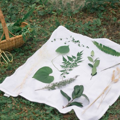 Gathering plants to make sun prints