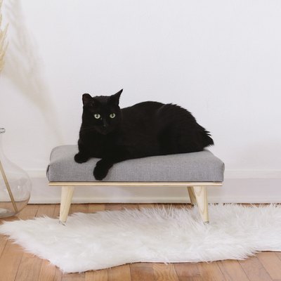 DIY modern kitty daybed